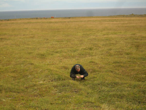 2006_Island-253